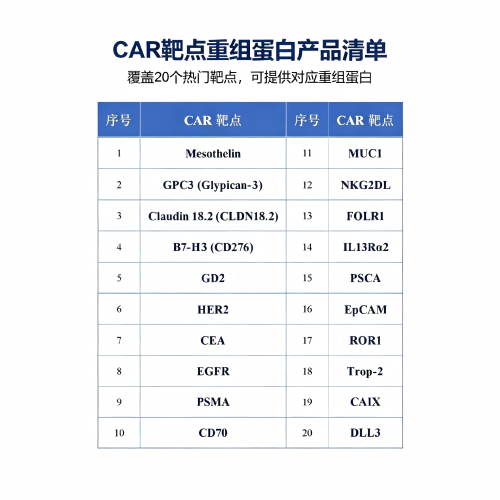 CAR靶点重组蛋白 - 重组蛋白 - 探氮生物技术（深圳）有限公司