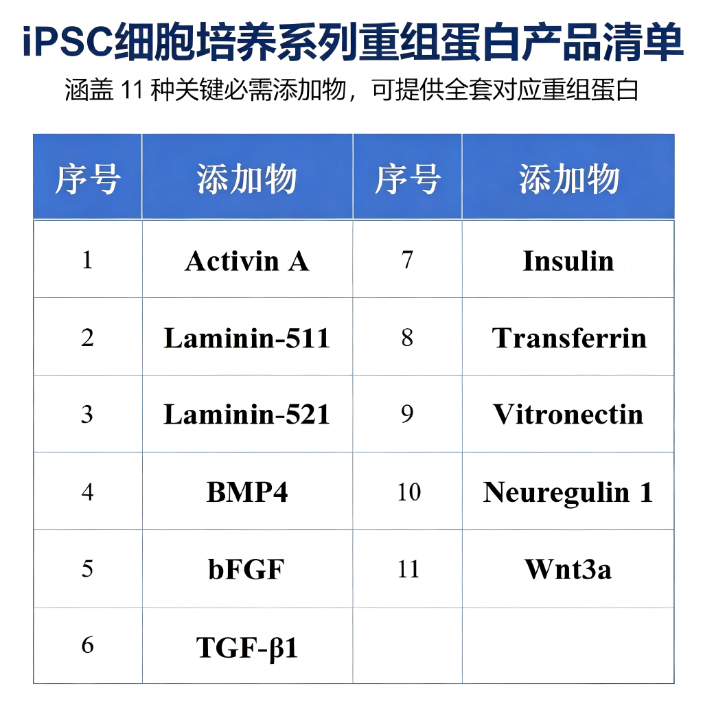 iPSC细胞培养重组蛋白 - 重组蛋白 - 探氮生物技术（深圳）有限公司