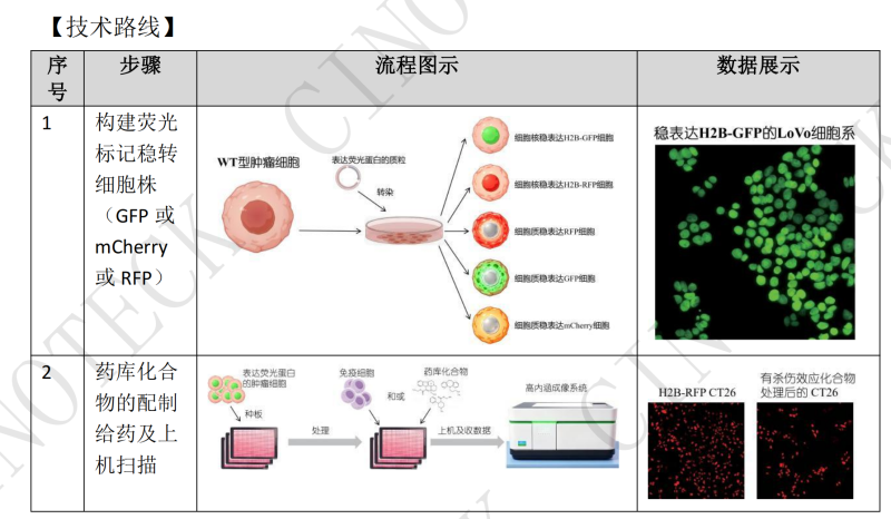 高通量荧光筛选效应化合物 - 研究方案定制 - 探氮生物技术（深圳）有限公司