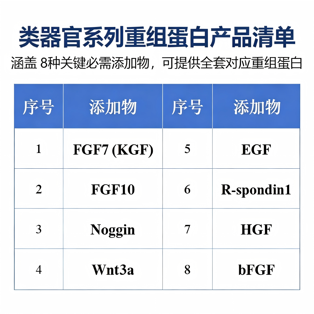 类器官系列重组蛋白 - 重组蛋白 - 探氮生物技术（深圳）有限公司
