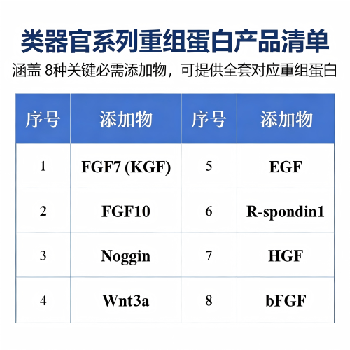 类器官系列重组蛋白 - 重组蛋白 - 探氮生物技术（深圳）有限公司